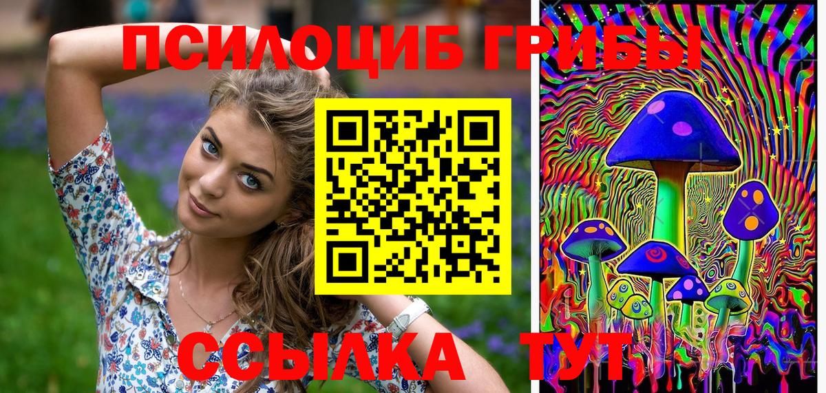 Псилоцибиновые грибы Psilocybine cubensis  Псилоцибиновые грибы Psilocybine cubensis  Звенигород  Вход с VPN 