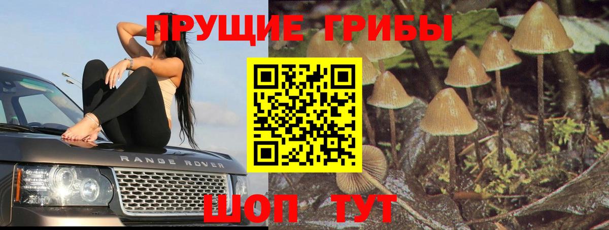Галлюциногенные грибы прущие грибы Звенигород